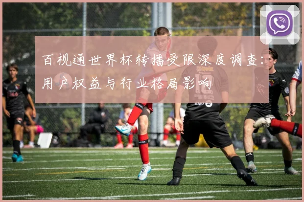 百视通世界杯转播受限深度调查：用户权益与行业格局影响