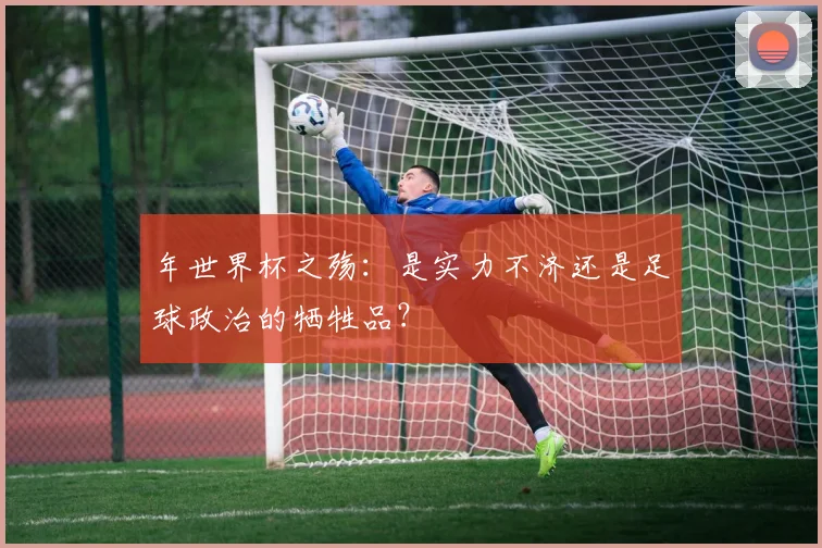 年世界杯之殇：是实力不济还是足球政治的牺牲品？